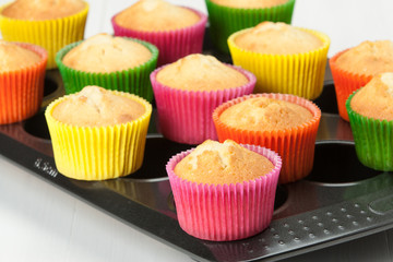 Homemade Colorful Plain Cupcakes On Baking Tray.