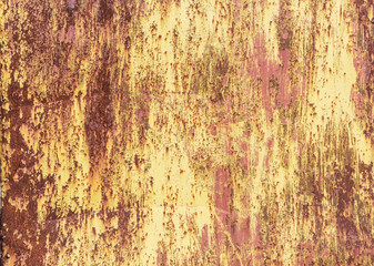 Crackle of paint on the metal background.