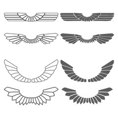 Set of wings isolated on white