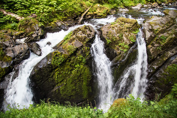 Sol Duc Falls in Olympic National Park Summer