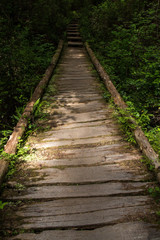 Wooden Pathway Trail in Olympic National Park Washington Ozette