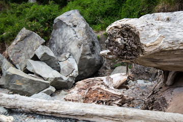 Ozette Coast, Washington State olympic national park