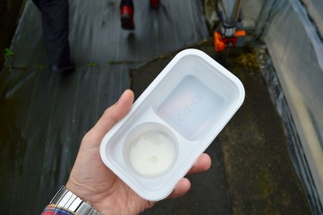 いちご狩りのトレー