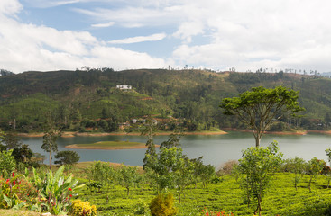 view to lake or river from land hills on Sri Lanka