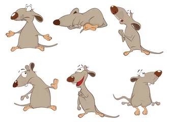 Foto op Plexiglas Set of Cartoon Illustration.  Cute Rats for you Design © liusa