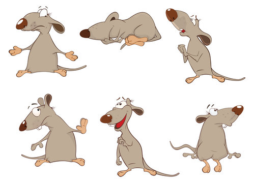 Set of Cartoon Illustration.  Cute Rats for you Design