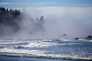 Sea stacks at ruby beach olympic national park in fog