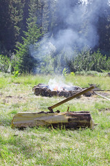 Fototapeta na wymiar Axe in Log and Bonfire