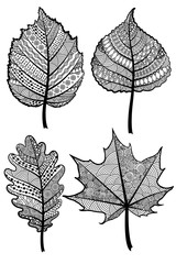  Set of four black and white leaves zentangle. Vector template.