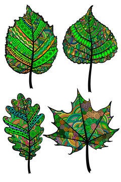   Set of four colorful zentangle leaves. Vector template.