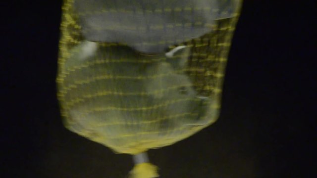 108036160