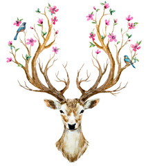 Obraz premium Watercolor hand drawn deer