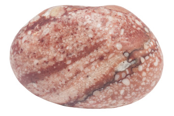 small pebble of red jasper macro isolated on white