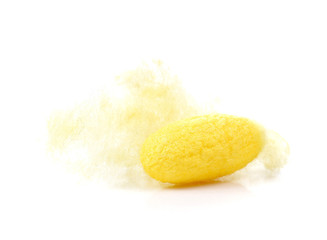 Cocoon , Silk on white background.