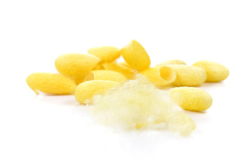 Cocoon , Silk on white background.