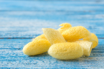 Cocoon , Silk on Blue wooden floor.