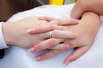 Hands of the groom and bride with rings 