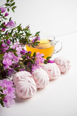 Zephyr on the white wooden background