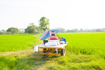 power tiller in rice field