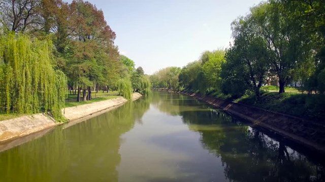 Drone flying over a river with many green trees on the edge, Bega channel, Timisoara