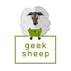 sheep with laptop