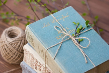 the book is beautifully designed, retro design