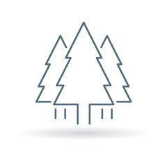 Tree icon. Pine tree forest sign. Christmas tree symbol. Thin line icon on white background. Vector illustration.