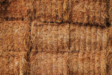 natural straw texture