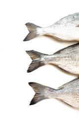 Fresh fish Dorado tails on white background