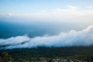 Fototapeta na wymiar The mountain in the mist, Phukradung national park ,Thailand