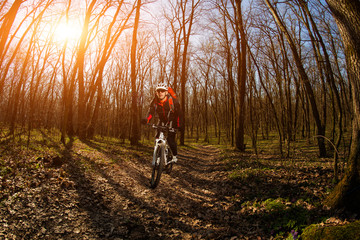 Obraz premium Cyclist Riding the Bike