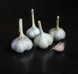 garlic