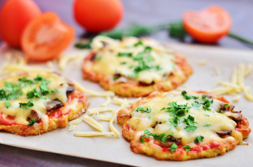 Pizza with cheese and tomatoes