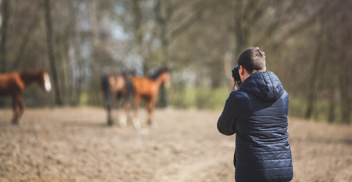 Photographer's work with horses