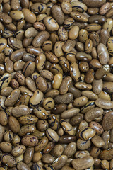 background bean seeds
