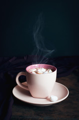 Cup of steaming hot chocolate with marshmallow