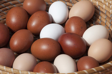 oeufs de poule dans un panier