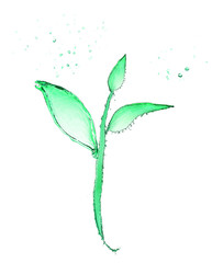 Small plant made of water splashes isolated on white
