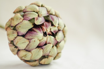 Fototapeta premium single ripe organic beige artichoke on white background. soft rustic style. selected focus.