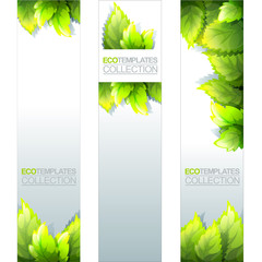 Eco Banners Template