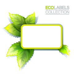 Green Eco Label