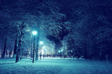 night landscape in winter city park