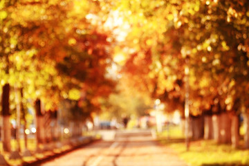 Fototapeta na wymiar Autumn background with yellow leaves on the trees, blurred