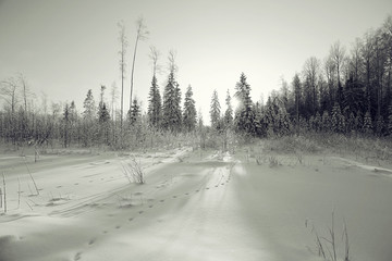 monochrome winter landscape