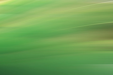 blur fresh green spring foliage gradient background motion