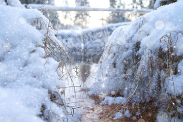 cold day frost grass landscape