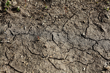 tire tracks on the dirt protector