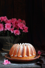 Orange cake sprinkled with powdered sugar