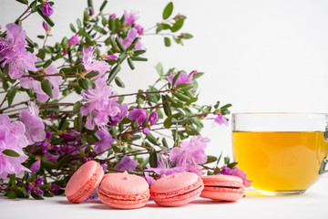 Pink macaroons on the white wooden background. Shallow depth of field.