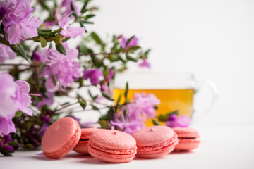 Fototapeta na wymiar Pink macaroons on the white wooden background. Shallow depth of field.